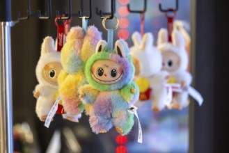 Labubu cuddly toy figure from China. There is a real hype surrounding the toy. Stuttgart,