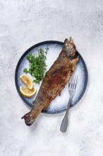 Fried rainbow trout, with herbs and citrus fruits, on a plate, top view