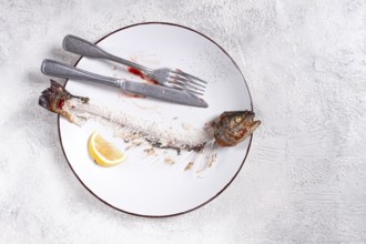 The remains of fish on a plate with a fork and knife, the skeleton of a rainbow trout, after lunch,