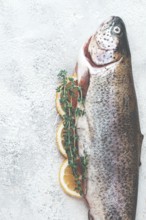 Freshly caught rainbow trout with herbs and citrus arranged on a light textured surface