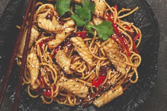 Udon noodles, with squid and vegetables, on a black plate, homemade, no people