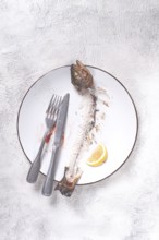 The remains of fish on a plate with a fork and knife, the skeleton of a rainbow trout, after lunch,
