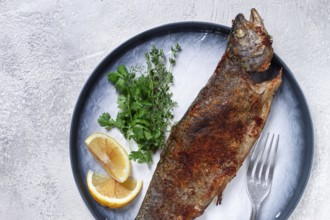 Fried rainbow trout, with herbs and citrus fruits, on a plate, top view