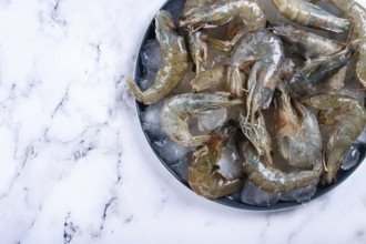 Fresh raw shrimp, spread on ice with lemon and cilantro slices on a marble surface, ready to cook,