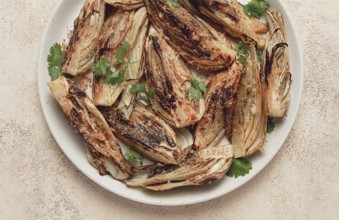 Baked, oven-baked fennel, with spices, in olive oil, homemade, no people