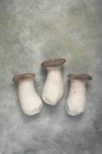 Fresh eringi mushrooms, raw, royal oyster mushrooms, three pieces, Asian cuisine, no people
