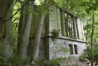 Ruin, castle ruin of Dwasieden Castle on Rügen, Mecklenburg-Western Pomerania, Germany