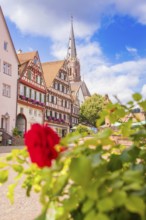A church rises behind historic buildings, decorated in red with flowers, small town pearl Calw,