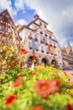 Magnificent town hall with colourful facades and flowers in the foreground, small town pearl Calw,