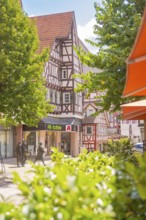 Half-timbered house with pharmacy in sunny, green surroundings, small town of Perle Calw, Black