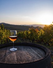 Glass of 10-year-old tawny wine placed on a barrel in a vineyard restaurant, AI generated