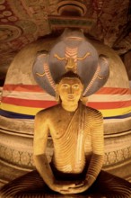 Buddha statues and murals in Dambulla Cave Temple, Dambulla, Sri Lanka