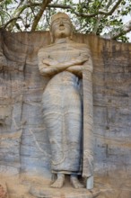 Standing Buddha statue, Polonnaruwa ruins of the garden-city created by Parakramabahu the Great in