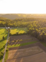 Forest and fields at sunset, long shadows on green meadows and fields, VFL Stammheim, Calw, Black