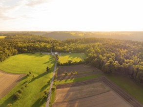 Wide landscape with shadow play over fields and forests at sunset, VFL Stammheim, Calw, Black