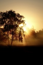 Landscape with rising sun, August, Germany