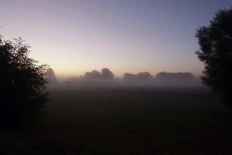 Landscape with morning fog, Summer, Saxony, Germany