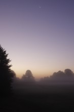 Landscape with morning fog, Summer, Saxony, Germany