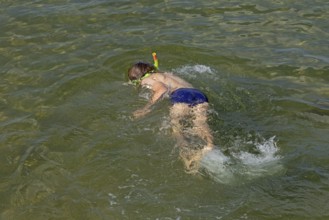 Little boy snorkelling in the sea, Kiel Fjord, Falckenstein, Kiel, Schleswig-Holstein, Germany