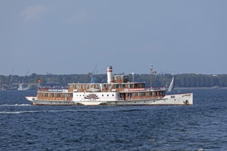 Historic paddle steamer Freya, Kiel Fjord, Kiel, Schleswig-Holstein, Germany