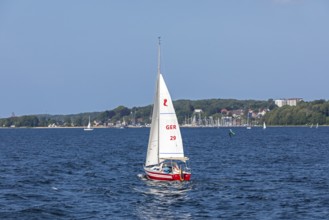 Sailing boat, Kiel Fjord, Kiel, Schleswig-Holstein, Germany