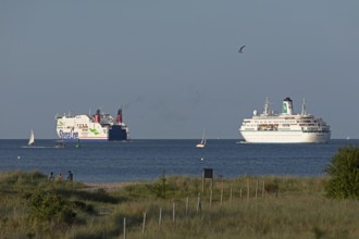 Stena Line ferry Stena Scandinavica, cruise ship Germany, Kiel Fjord, Schleswig-Holstein, Germany
