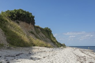 Beach, Stohl cliffs, Schwedeneck, Schleswig-Holstein, Germany