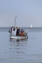 Fishing boat off Falckenstein Strand, Sailing boat, Kiel Fjord, Kiel, Schleswig-Holstein, Germany