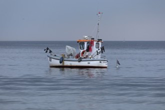 Fishing boat off Falckenstein Strand, Kiel Fjord, Kiel, Schleswig-Holstein, Germany
