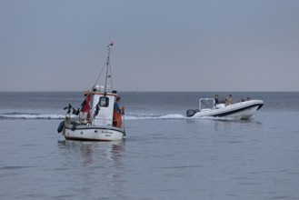 Fishing boat off Falckenstein beach, motorboat, Kiel Fjord, Kiel, Schleswig-Holstein, Germany