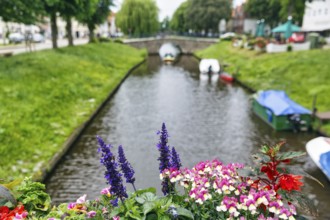 View over flower decoration on Mittelburggraben, blurred, Old Town, Friedrichstadt, Germany
