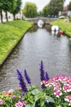 View over flower decoration on Mittelburggraben, blurred, Old Town, Friedrichstadt, Germany