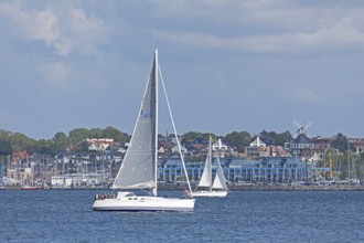 Sailing boats, houses, windmill, Laboe, Kiel Fjord, Schleswig-Holstein, Germany