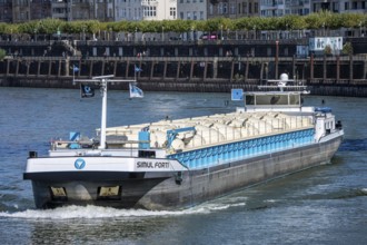 Cargo ship, tanker Simul Forti, on the Rhine near Düsseldorf, Rheinkniebrücke, Altstadtufer, North