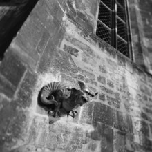 Sculpture of a demon on the wall of St Mary's Parish Church at Naumburg Cathedral, Naumburg,