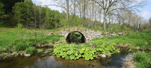 Old stone bridge over the Chemnitzbach, Erzgebirge, near Sayda, Saxony, Germany