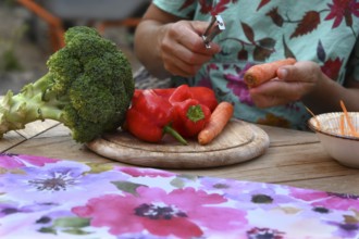 Various vegetables being prepared for a meal, carrots being peeled, Bavaria, Germany