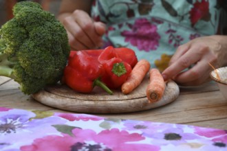 Fresh vegetables on a wooden board, broccoli, carrots and peppers, Bavaria, Germany
