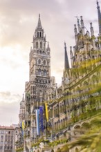 Detailed view of the New Town Hall with its Gothic towers at sunset, Munich, Germany