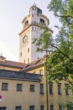 Historic clock tower towers over a yellow building, surrounded by green nature in bright sunshine,