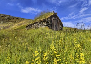 Grass-covered house in the landscape at Gudrúnarlaug, Búardalur, West Iceland, Iceland