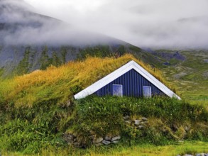 Traditional wooden hut with sod roof, Reykjadiskur, Iceland