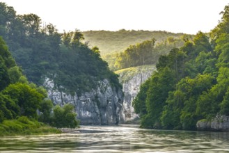 Danube gorge Weltenburg at sunrise, nature reserve Weltenburger Enge, Kelheim, Bavaria