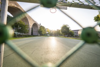 View over a sports field with basketball hoop in the morning light, framed by trees, Nagold,