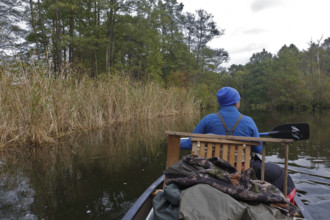 Müritz National Park, Mecklenburg-Western Pomerania, Germany