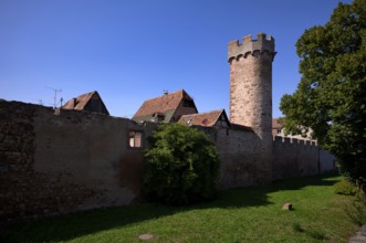 Historic city wall, defence defence tower, old town, Obernai, also Oberehnheim, Bas-Rhin,