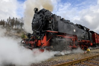 View of steam locomotive steam locomotive of Harz narrow-gauge railway narrow-gauge railway