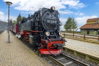 View of steam locomotive steam locomotive of Harz narrow-gauge railway narrow-gauge railway