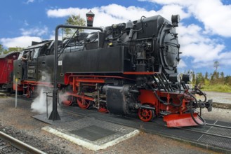 View of steam locomotive steam locomotive of Harz narrow-gauge railway narrow-gauge railway