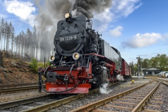 View of steam locomotive steam locomotive of Harz narrow-gauge railway narrow-gauge railway